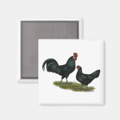Augsburger Chickens Magnet (Vorderseite/Rückseite)