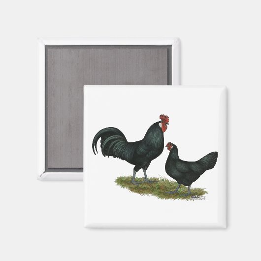 Augsburger Chickens Magnet (Vorderseite/Rückseite)