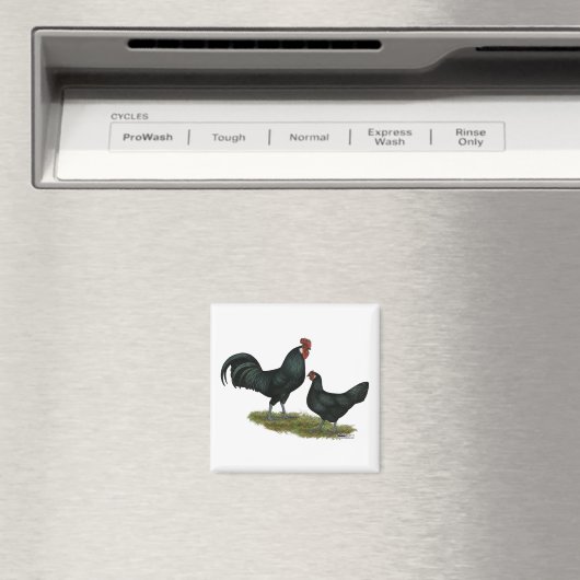Augsburger Chickens Magnet (In Situ (Geschirrspüler))