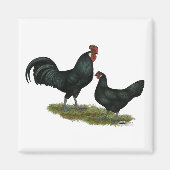 Augsburger Chickens Magnet (Vorne)