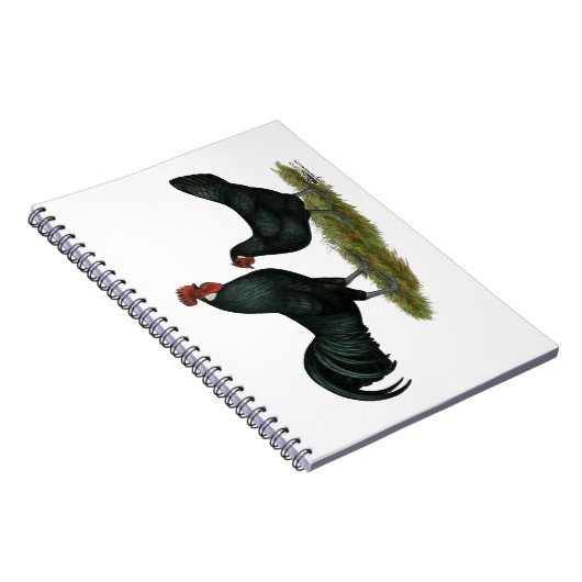 Augsburger Chickens Notizblock (Rechte Seite)