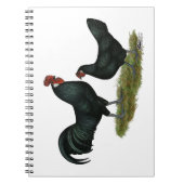 Augsburger Chickens Notizblock (Vorderseite)