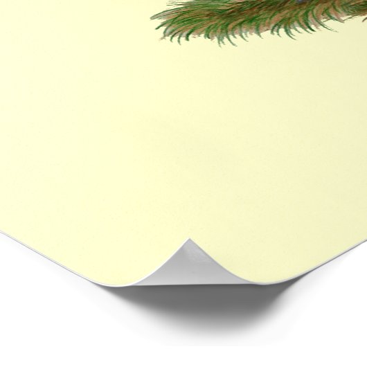 Augsburger Chickens Poster (Ecke)