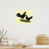 Augsburger Chickens Poster (Küche)