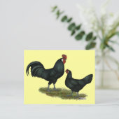 Augsburger Chickens Postkarte (Stehend Vorderseite)