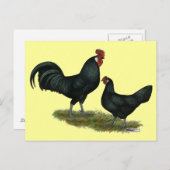 Augsburger Chickens Postkarte (Vorne/Hinten)