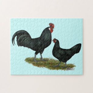 Augsburger Chickens Puzzle
