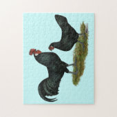 Augsburger Chickens Puzzle (Vertikal)
