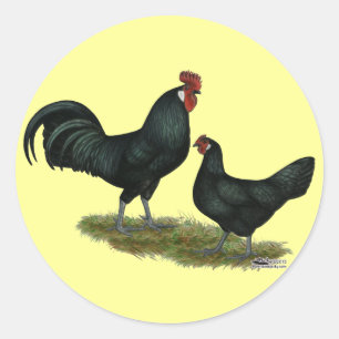 Augsburger Chickens Runder Aufkleber
