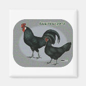 Augsburger Fowl Magnet (Vorne)