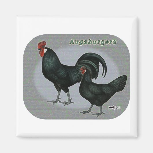 Augsburger Fowl Magnet (Vorne)