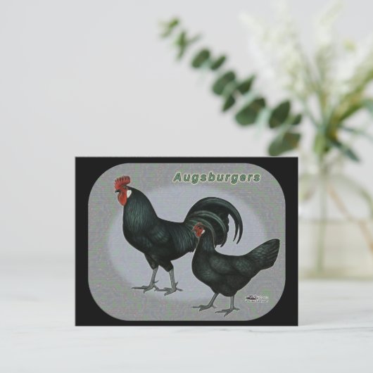 Augsburger Fowl Postkarte (Stehend Vorderseite)