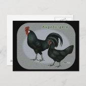 Augsburger Fowl Postkarte (Vorne/Hinten)