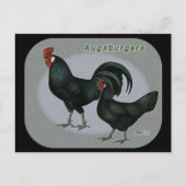 Augsburger Fowl Postkarte (Vorderseite)