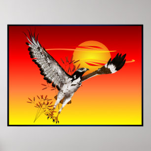 Augur trifft sich mit der Morgensonne. 4x3-Poster Poster