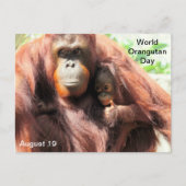 August 19 - Welt-Orangutan-Tag Postkarte (Vorderseite)