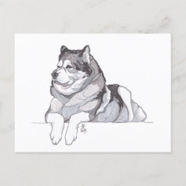 August 2019 Alaskan Malamute Postkarte