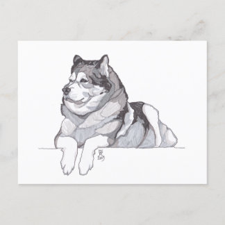 August 2019 Alaskan Malamute Postkarte