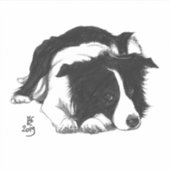 August 2019 Border Collie Square Aufkleber (Vorderseite)