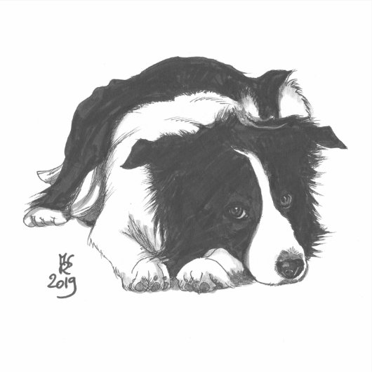 August 2019 Border Collie Square Aufkleber (Vorderseite)