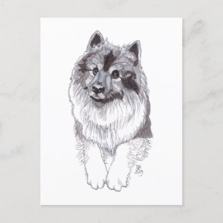 August 2019 Keeshond Postcard Ankündigungspostkarte