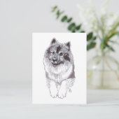 August 2019 Keeshond Postcard Ankündigungspostkarte (Stehend Vorderseite)