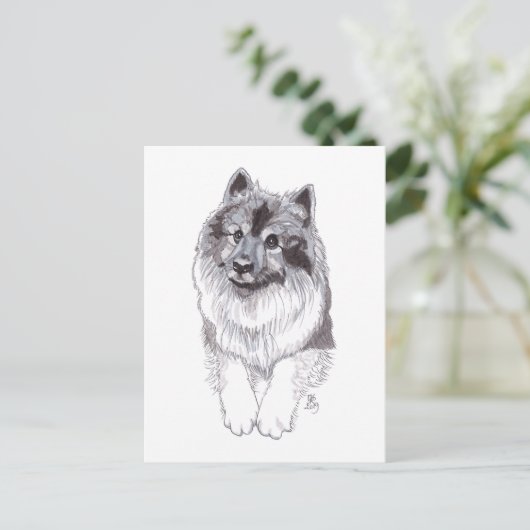 August 2019 Keeshond Postcard Ankündigungspostkarte (Stehend Vorderseite)