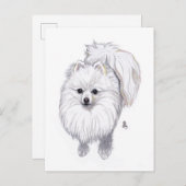 August 2019 Spitz Postkarte (Vorne/Hinten)