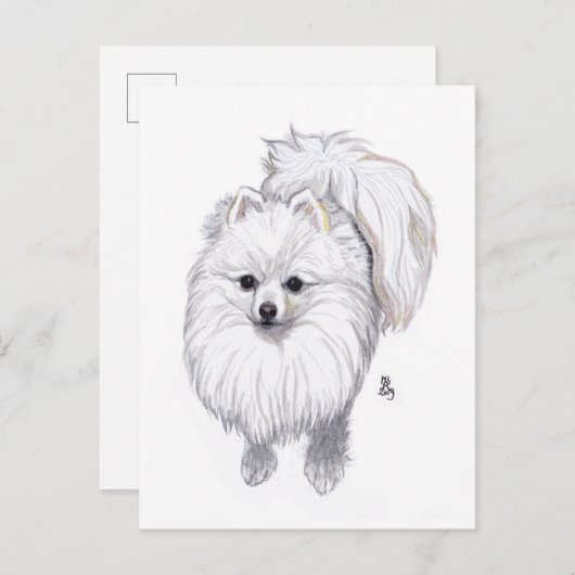 August 2019 Spitz Postkarte (Vorne/Hinten)