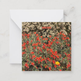 August Ablaze Mitteilungskarte