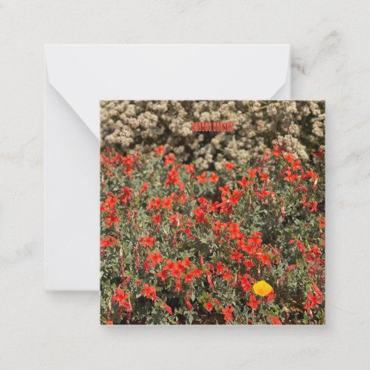 August Ablaze Mitteilungskarte (Vorderseite)