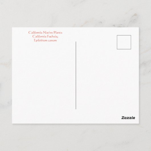 August Ablaze Postcard Postkarte (Rückseite)