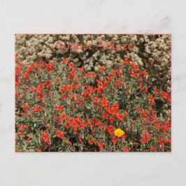 August Ablaze Postcard Postkarte