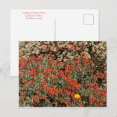 August Ablaze Postkarte (Vorne/Hinten)