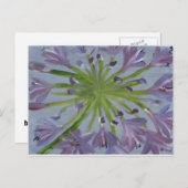 August Agapanthus Postkarte (Vorne/Hinten)