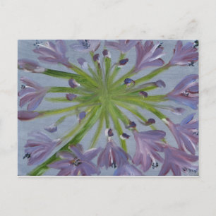 August Agapanthus Postkarte