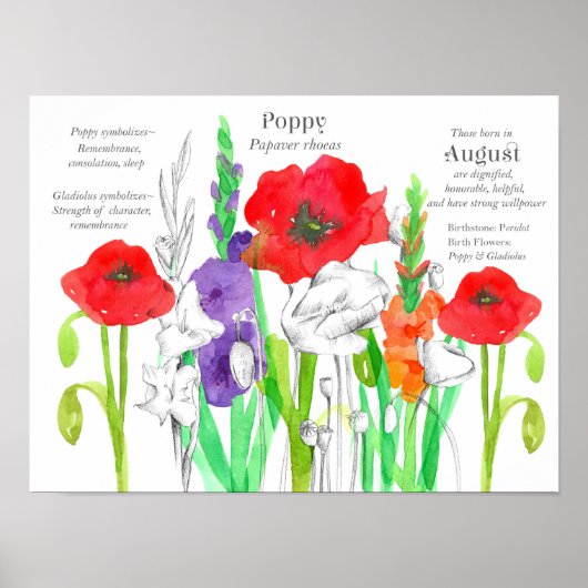 August Birthday Poppies Gladiolus Birth Blume Poster (Vorne)