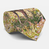 August-Dollars Krawatte (Gerollt)