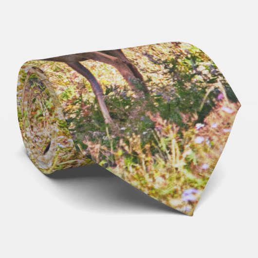 August-Dollars Krawatte (Gerollt)