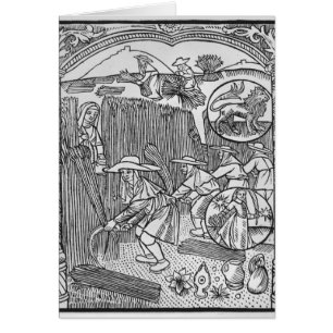 August, erntend, Löwe