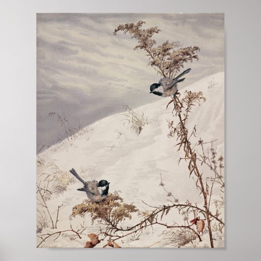 August | Fidelia Bridges Poster (Vorne)