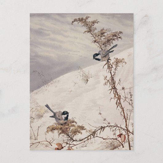 August | Fidelia Bridges Postkarte (Vorderseite)