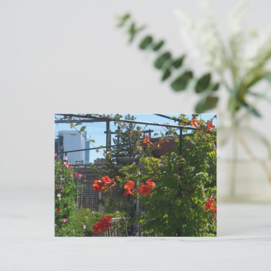 August Garden Postkarte (Stehend Vorderseite)