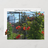 August Garden Postkarte (Vorne/Hinten)