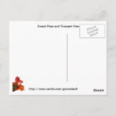 August Garden Postkarte (Rückseite)