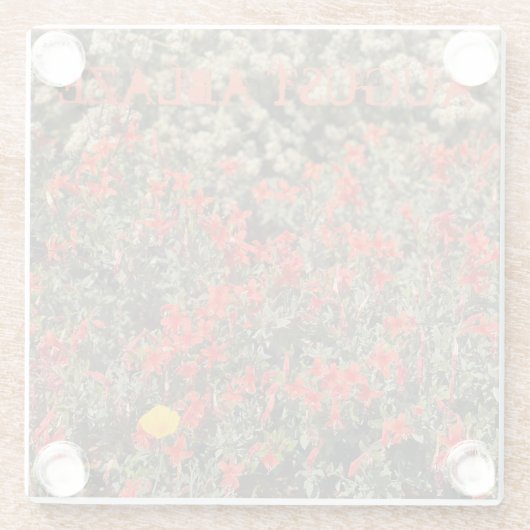 August Glasuntersetzer (Rückseite)