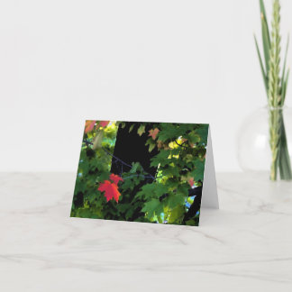 August-Herbst Notecards Karte