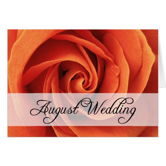 August Hochzeit : Rose der Saison: (Vorderseite (Horizontal))
