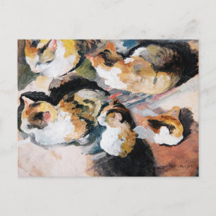 August Macke's Katzenstudien (Studie einer Katze) Postkarte