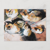 August Macke's Katzenstudien (Studie einer Katze) Postkarte (Vorderseite)